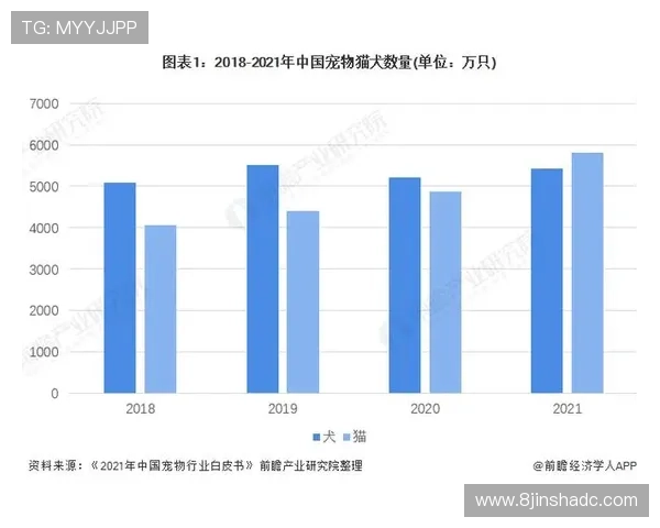 国外正规博彩的市场趋势：未来发展方向分析